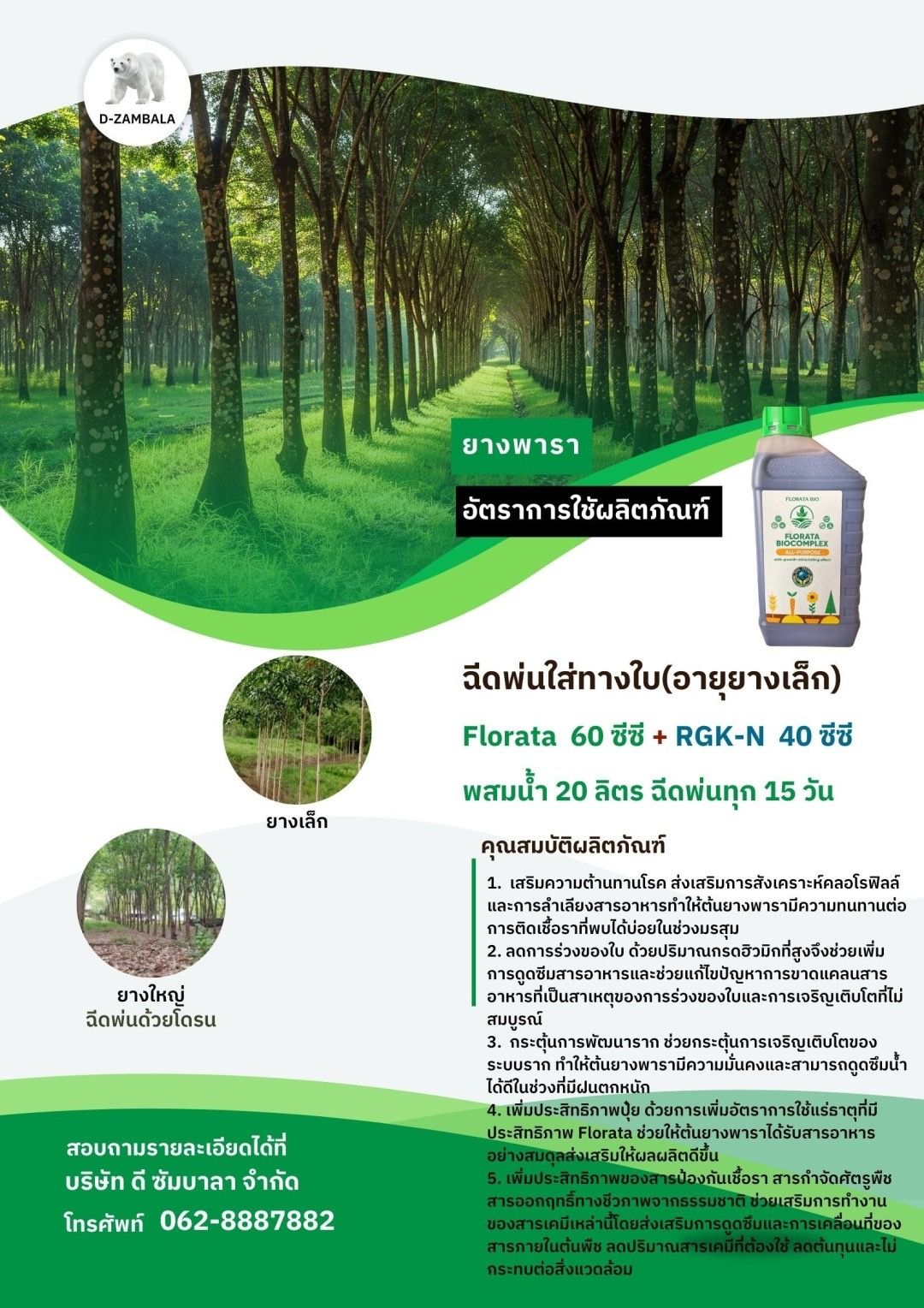 Rubber Tree Ad